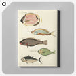 1-90_Louis-Renard_canvas