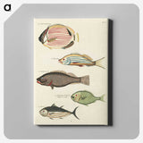 1-90_Louis-Renard_canvas
