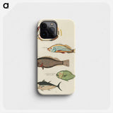 Moluccan Fishes
 - ルイ ルナール Phone Case.