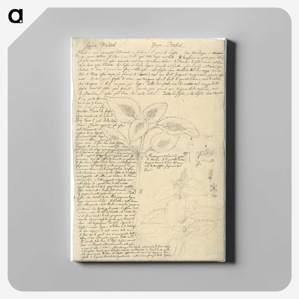 1-90_Luigi-Balugani_canvas