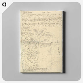 1-90_Luigi-Balugani_canvas