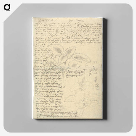 1-90_Luigi-Balugani_canvas