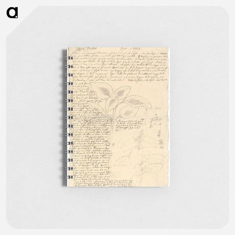 アートメモ帳-Jajja Diitch (Coleus species 2)
 - ルイージ バルガーニ Memo.