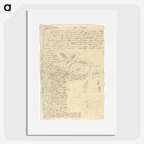 1-90_Luigi-Balugani_picture