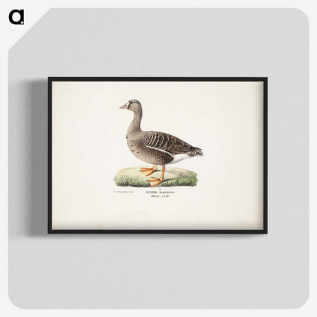 1-90_Magnus-von-Wright_blk-crop