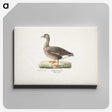 1-90_Magnus-von-Wright_canvas