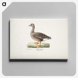 1-90_Magnus-von-Wright_canvas