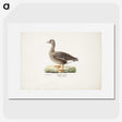 1-90_Magnus-von-Wright_picture