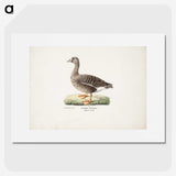 1-90_Magnus-von-Wright_picture