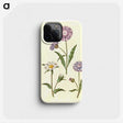 1-90_Maria-Sibylla-Merian_phone