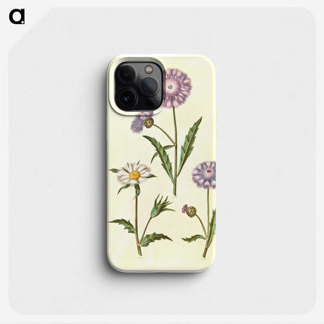 1-90_Maria-Sibylla-Merian_phone