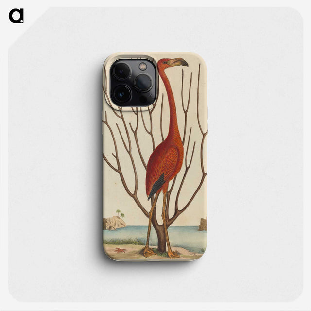 1-90_Mark-Catesby_phone