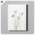 1-90_Mary-Vaux-Walcott_canvas