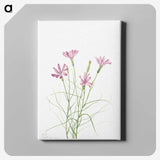 1-90_Mary-Vaux-Walcott_canvas