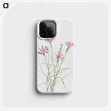 1-90_Mary-Vaux-Walcott_phone