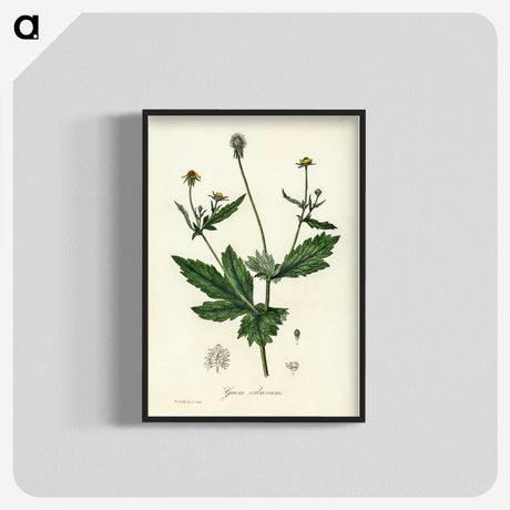 1-90_Medical-Botany_blk-crop