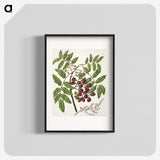 1-90_Native-Flowering-Plants-of-New-Zealand_blk