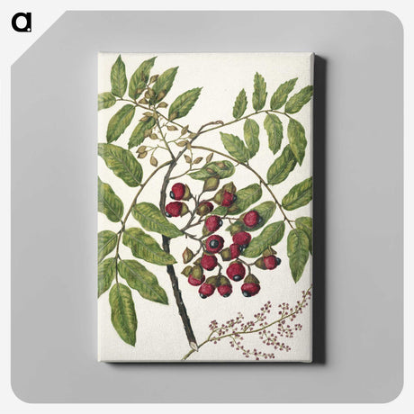 1-90_Native-Flowering-Plants-of-New-Zealand_canvas