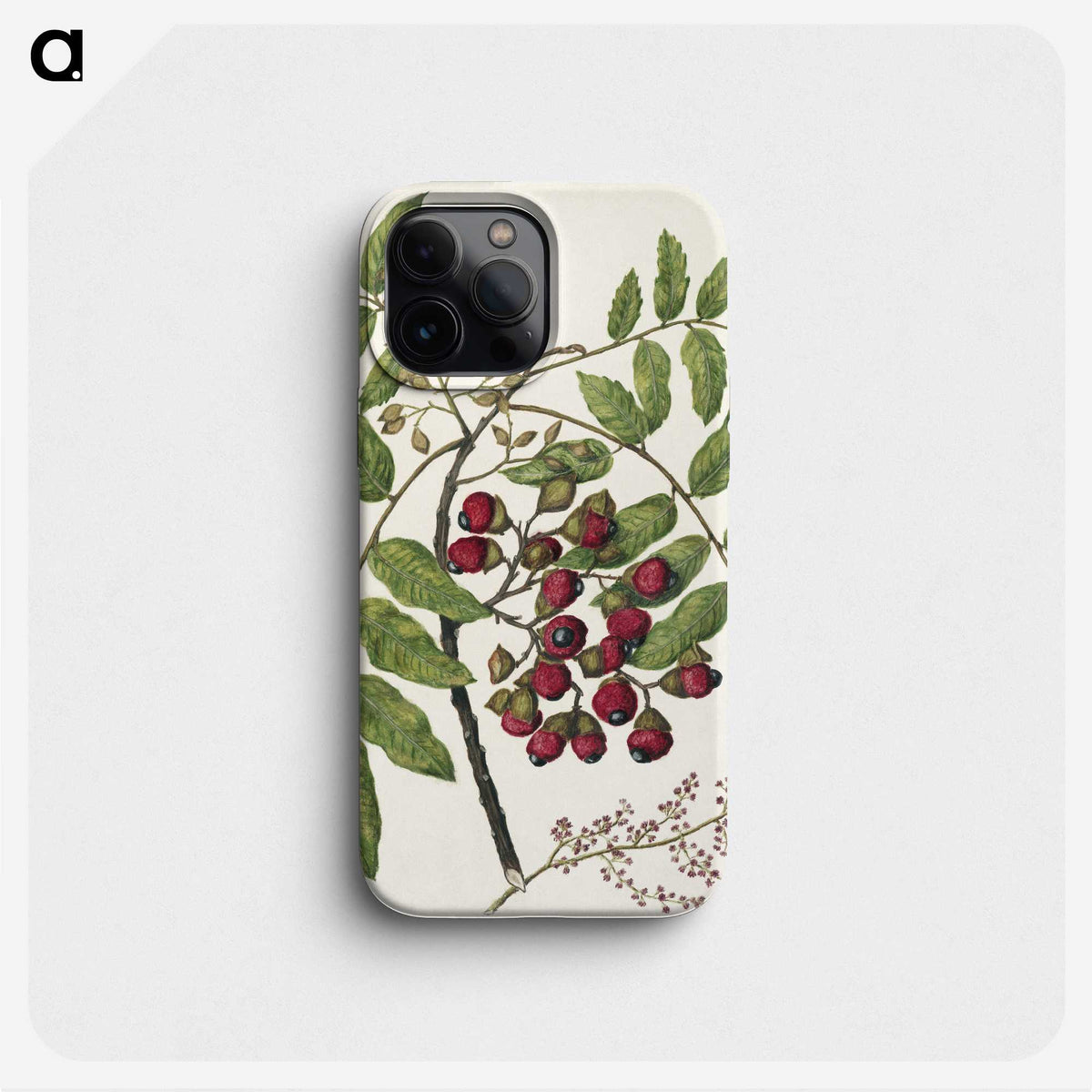 1-90_Native-Flowering-Plants-of-New-Zealand_phone
