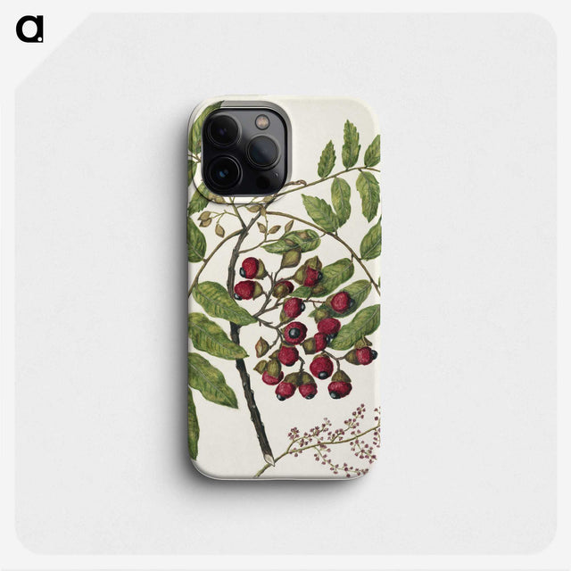 1-90_Native-Flowering-Plants-of-New-Zealand_phone