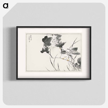 アートポスター-Grey Starling and Lotus
 - 鳥類図鑑 Poster.