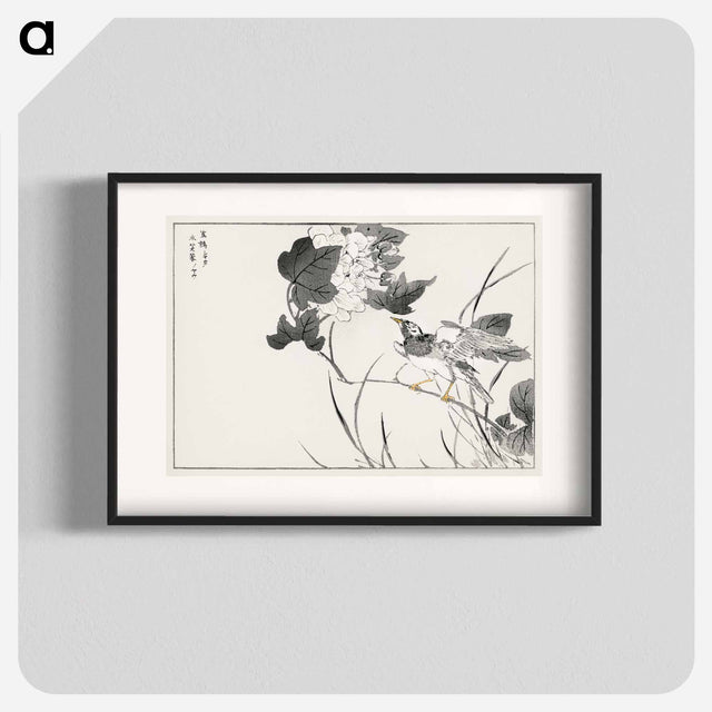 アートポスター-Grey Starling and Lotus
 - 鳥類図鑑 Poster.