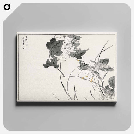 アートパネル-Grey Starling and Lotus
 - 鳥類図鑑 Canvas.