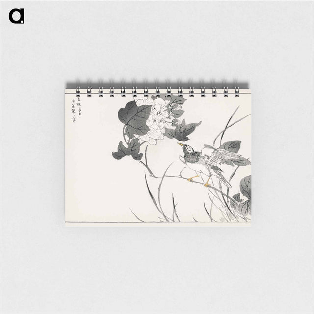 アートメモ帳-Grey Starling and Lotus
 - 鳥類図鑑 Memo.