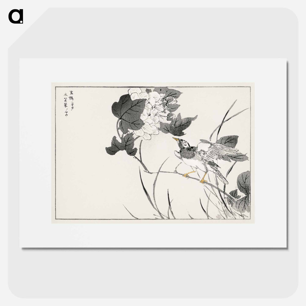 アートポスター-Grey Starling and Lotus
 - 鳥類図鑑 Poster.