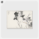 アートポストカード-Grey Starling and Lotus
 - 鳥類図鑑 Postcard.