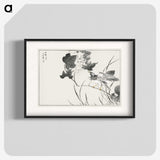 1-90_Pictorial-Monograph-of-Birds_blk