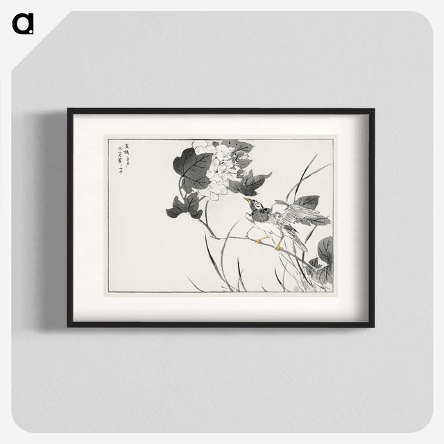 1-90_Pictorial-Monograph-of-Birds_blk