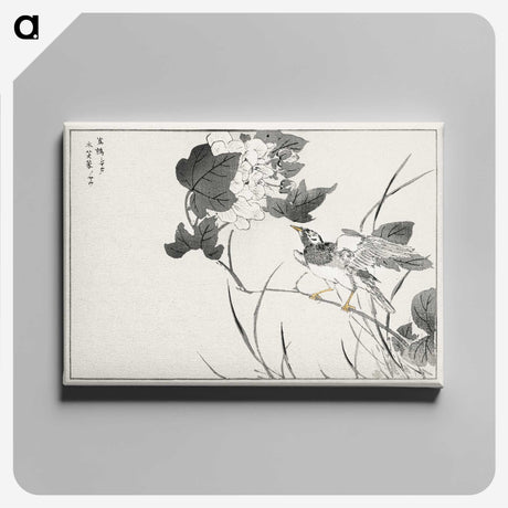 1-90_Pictorial-Monograph-of-Birds_canvas