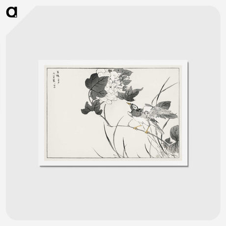 1-90_Pictorial-Monograph-of-Birds_hagaki