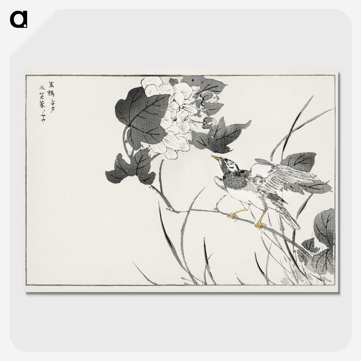 1-90_Pictorial-Monograph-of-Birds_picture-crop