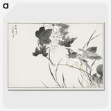 1-90_Pictorial-Monograph-of-Birds_picture-crop