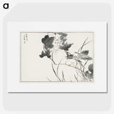 1-90_Pictorial-Monograph-of-Birds_picture