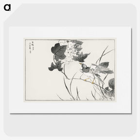 1-90_Pictorial-Monograph-of-Birds_picture
