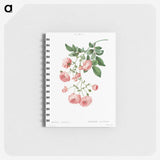 1-90_Pierre-Joseph-Redoute_memo