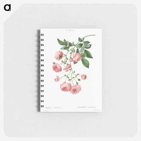 1-90_Pierre-Joseph-Redoute_memo