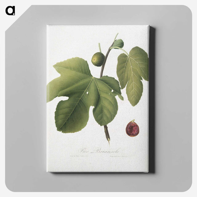 1-90_Pomona-Italiana_canvas