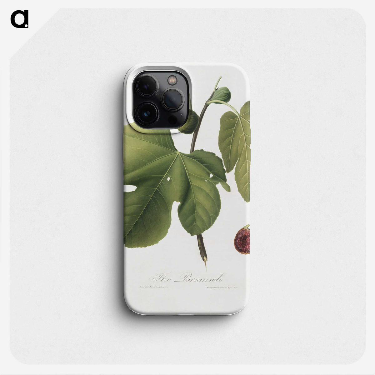 1-90_Pomona-Italiana_phone