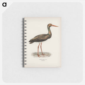 アートメモ帳-Black Stork
 - スヴェンスカ フォグラル Memo.
