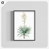 1-90_The-Lilies_blk-crop