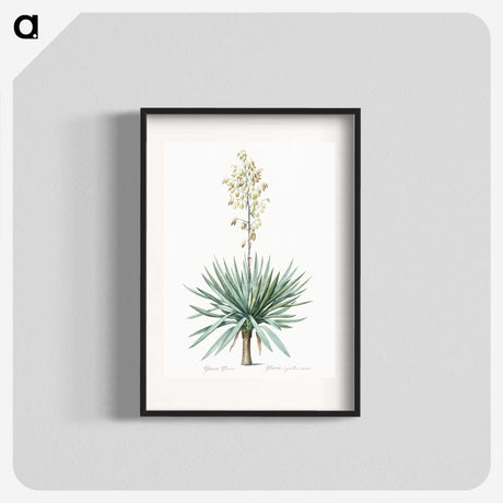1-90_The-Lilies_blk