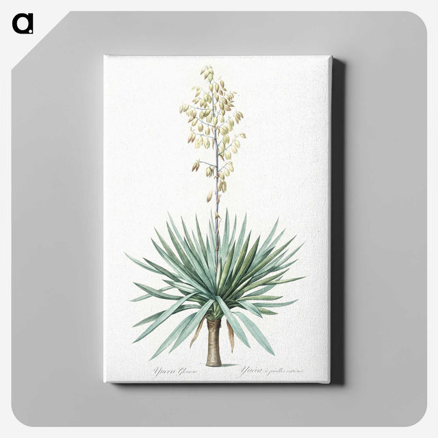 1-90_The-Lilies_canvas