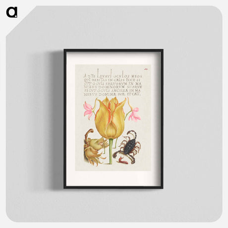アートポスター-Rocket Larkspurs, Tulip, Scorpion, Millepede, and European Filbert
 - 書道のお手本 Poster.
