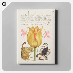 アートパネル-Rocket Larkspurs, Tulip, Scorpion, Millepede, and European Filbert
 - 書道のお手本 Canvas.