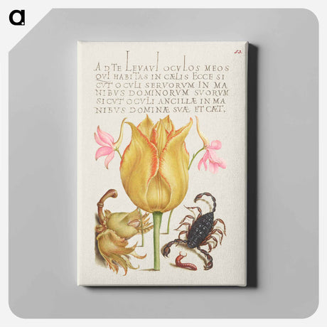 アートパネル-Rocket Larkspurs, Tulip, Scorpion, Millepede, and European Filbert
 - 書道のお手本 Canvas.