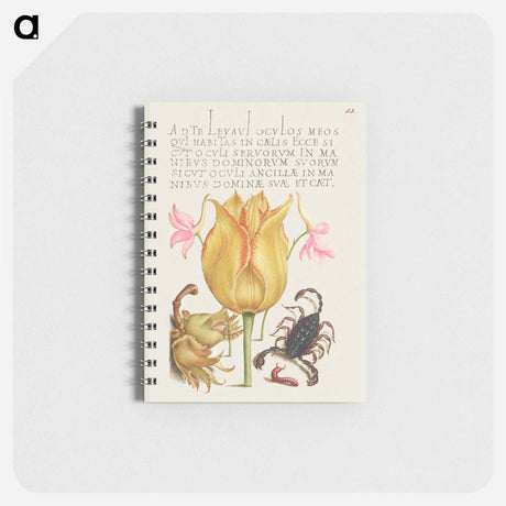 アートメモ帳-Rocket Larkspurs, Tulip, Scorpion, Millepede, and European Filbert
 - 書道のお手本 Memo.